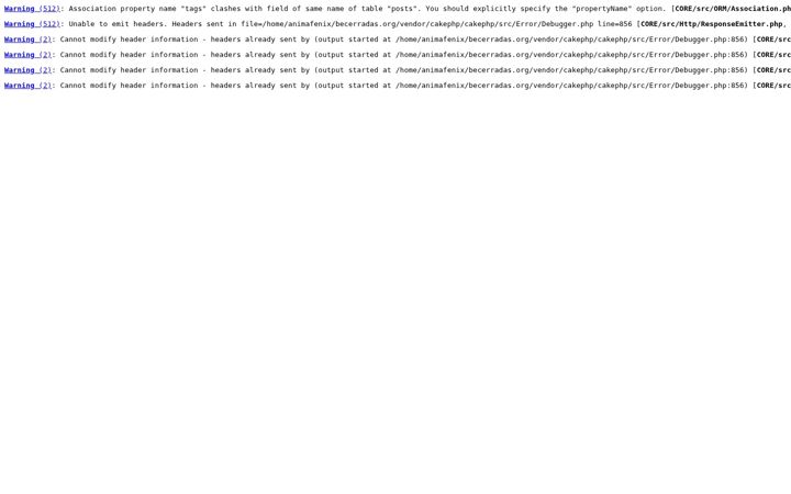 Screenshot of becerradas.org