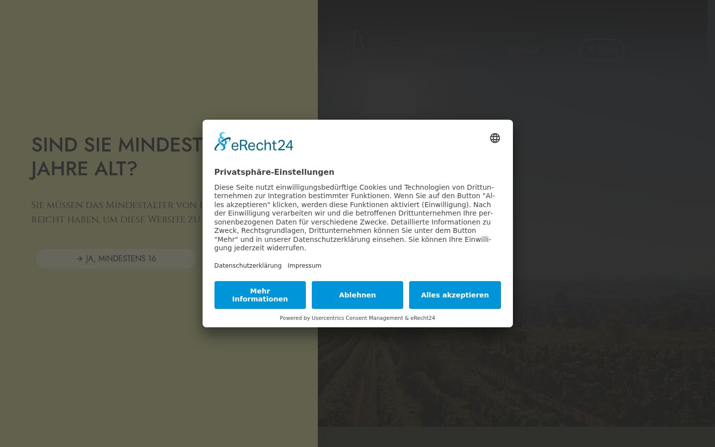 Screenshot of the consent banner shown before any interaction