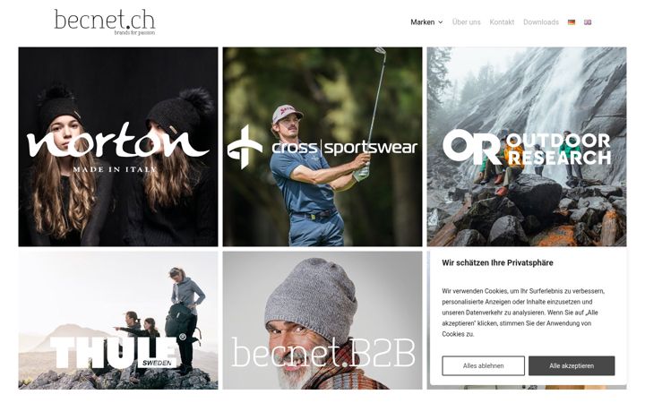 Screenshot of becnet.ch