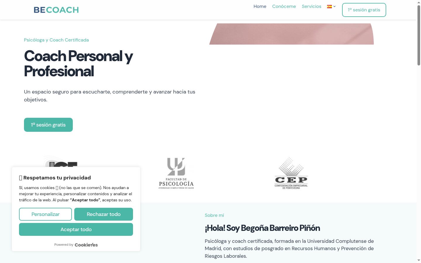 Screenshot of the consent banner shown before any interaction