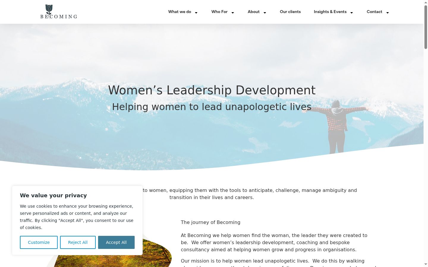 Screenshot of the consent banner shown before any interaction