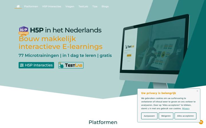 Zrzut ekranu bedrijfsacademy.nl