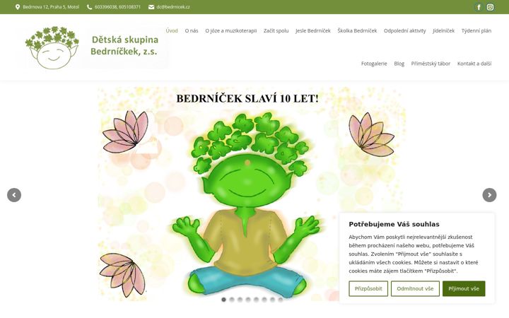 Screenshot of bedrnicek.cz