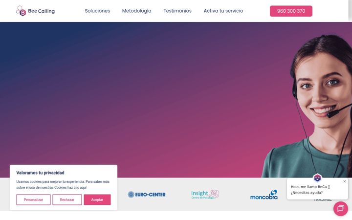 Screenshot of beecallingsolutions.com