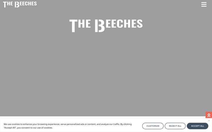 Screenshot of beechesqueenstown.co.nz