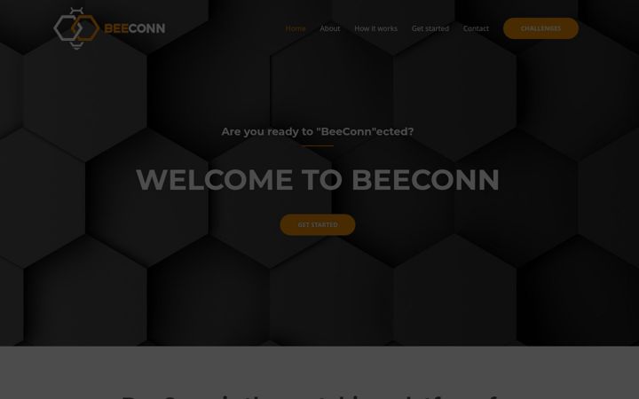 Screenshot of beeconn.de