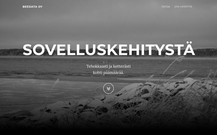 Screenshot of beedata.fi