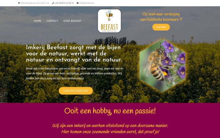 Screenshot of beefast.be