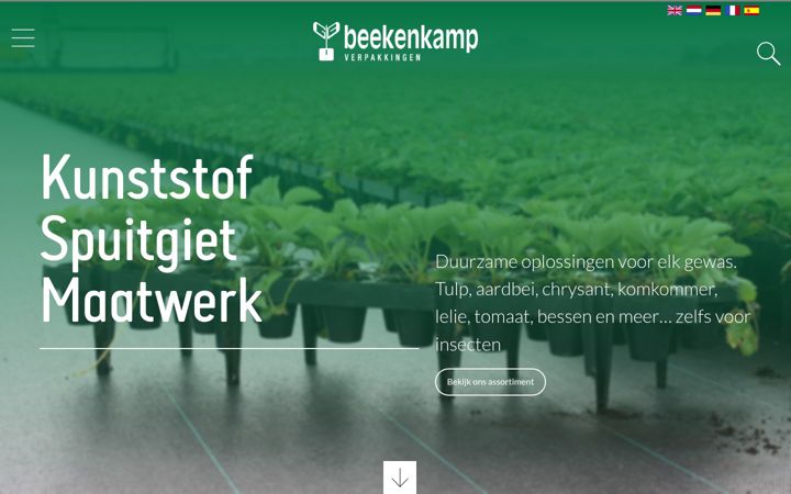 Screenshot of beekenkampverpakkingen.nl