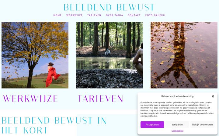 Screenshot of beeldendbewust.nl