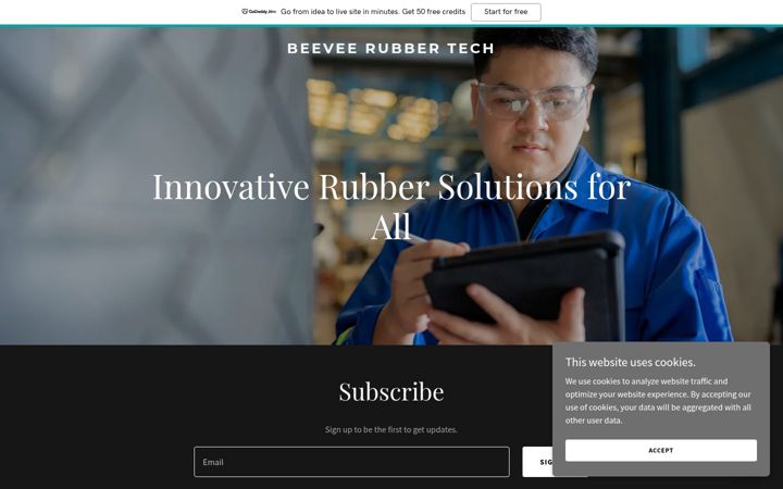 Screenshot of beeveerubbertech.com