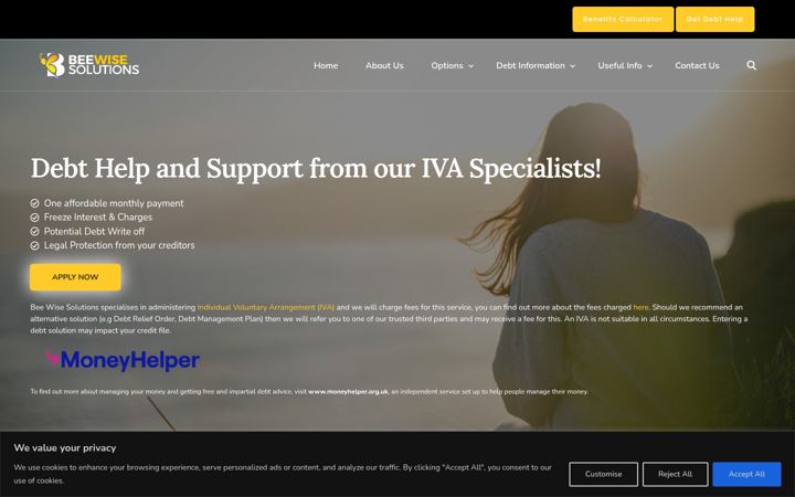 Screenshot of beewisesolutions.co.uk