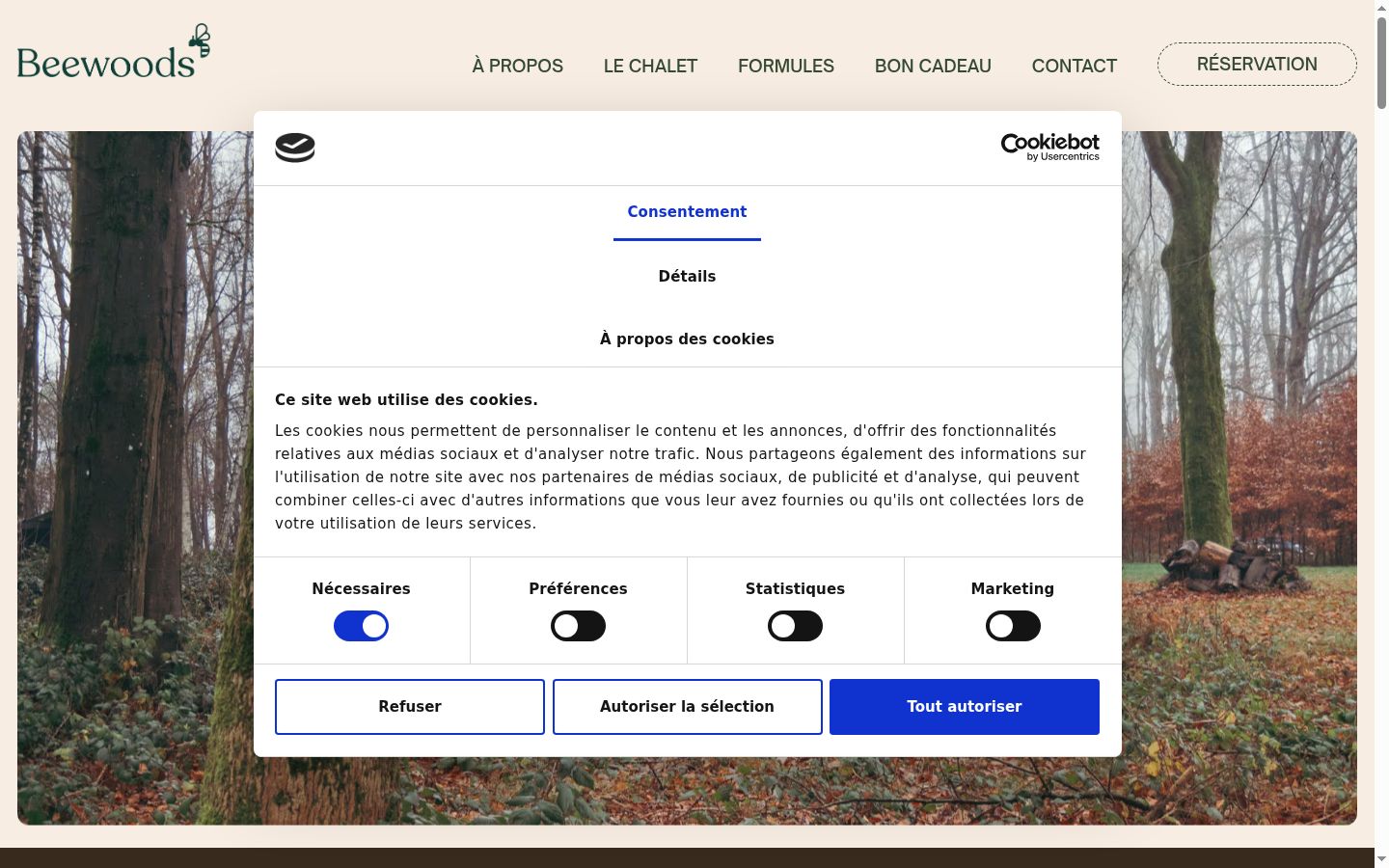 Captura de pantalla del banner de consentimiento mostrado antes de cualquier interacción