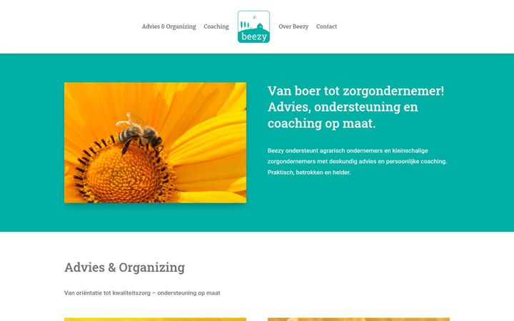 Screenshot of beezy-organizing.nl