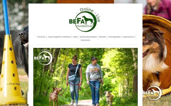Screenshot of befa-hundeschule.de