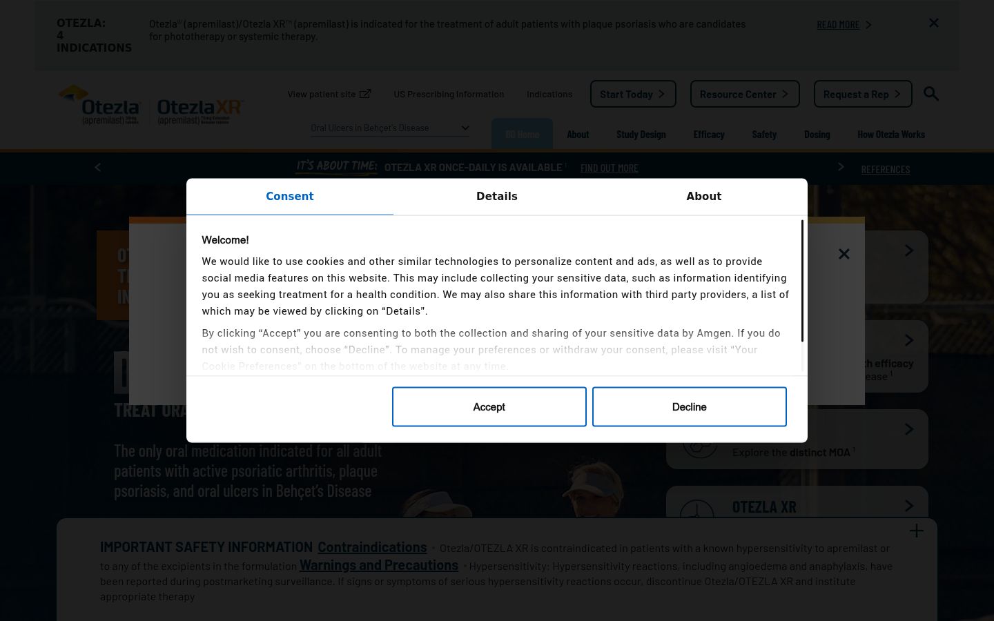 Screenshot of the consent banner shown before any interaction