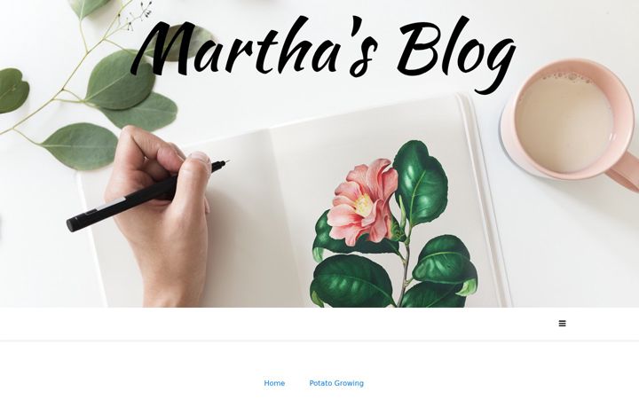 Screenshot of beingmarthab.co.uk