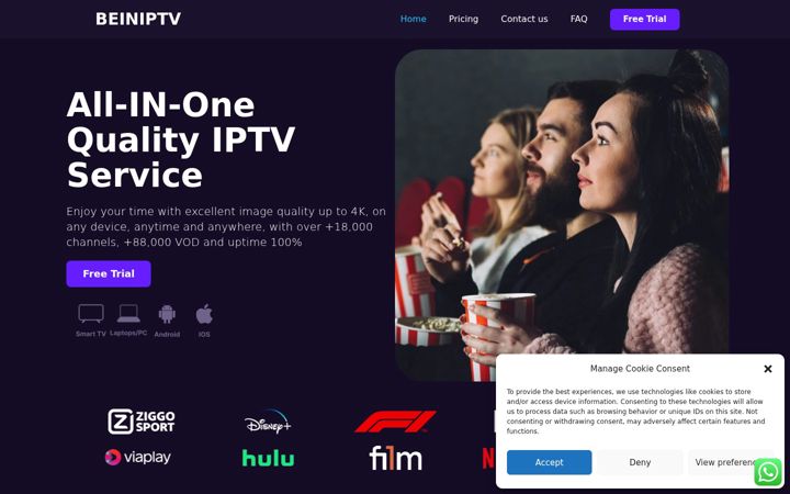 Screenshot of beiniptv.net