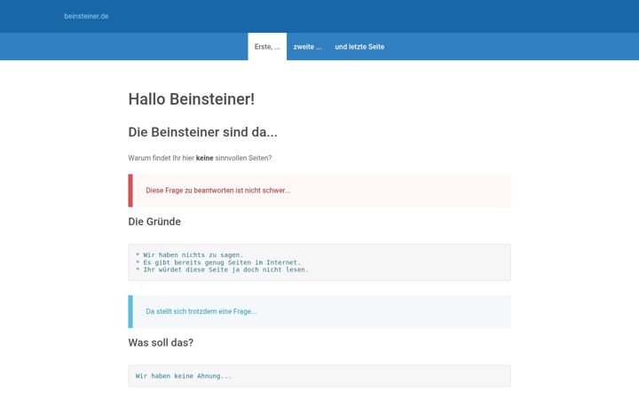 Screenshot of beinsteiner.de