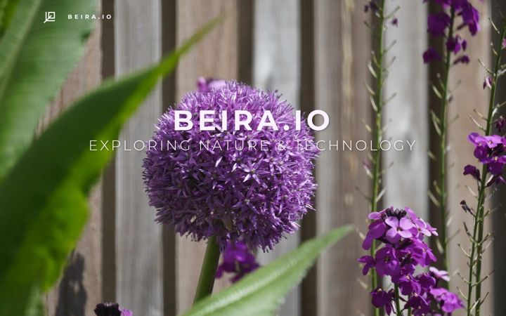 Screenshot of beira.io