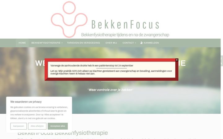 Screenshot of bekkenfocus.nl