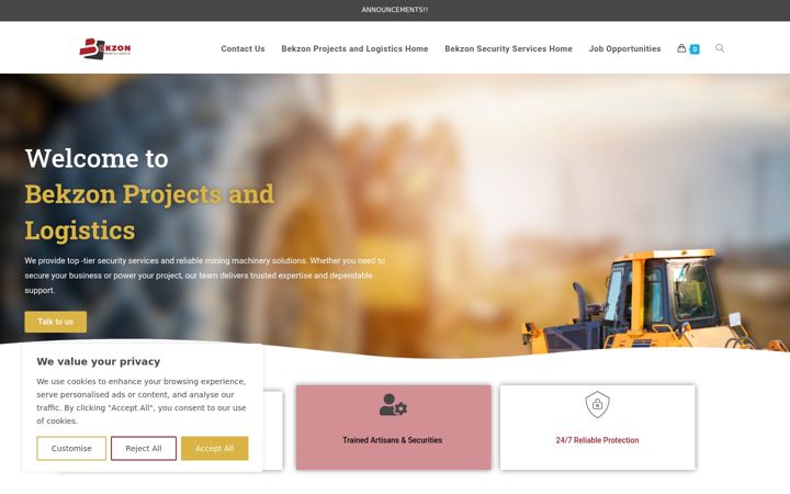 Screenshot of bekzonprojects.com