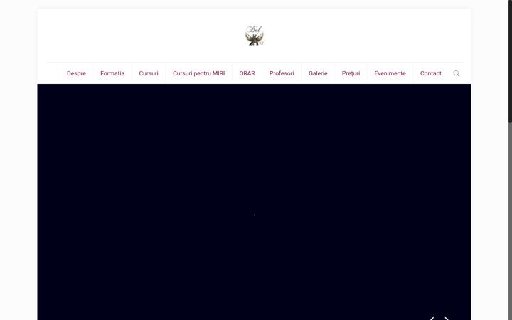 Screenshot of bel-art.ro