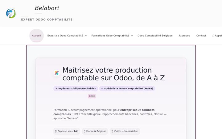 Screenshot of belabori.be