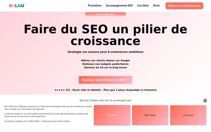 Screenshot of belauseo.fr