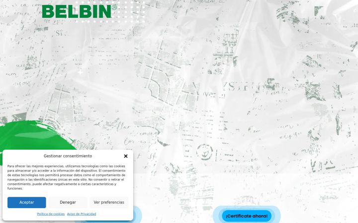 Screenshot of belbin.mx