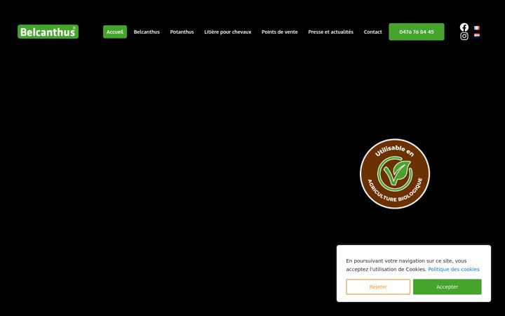 Screenshot of belcanthus.be