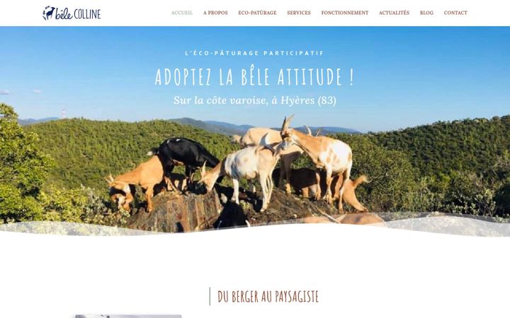 Screenshot of belecolline.fr