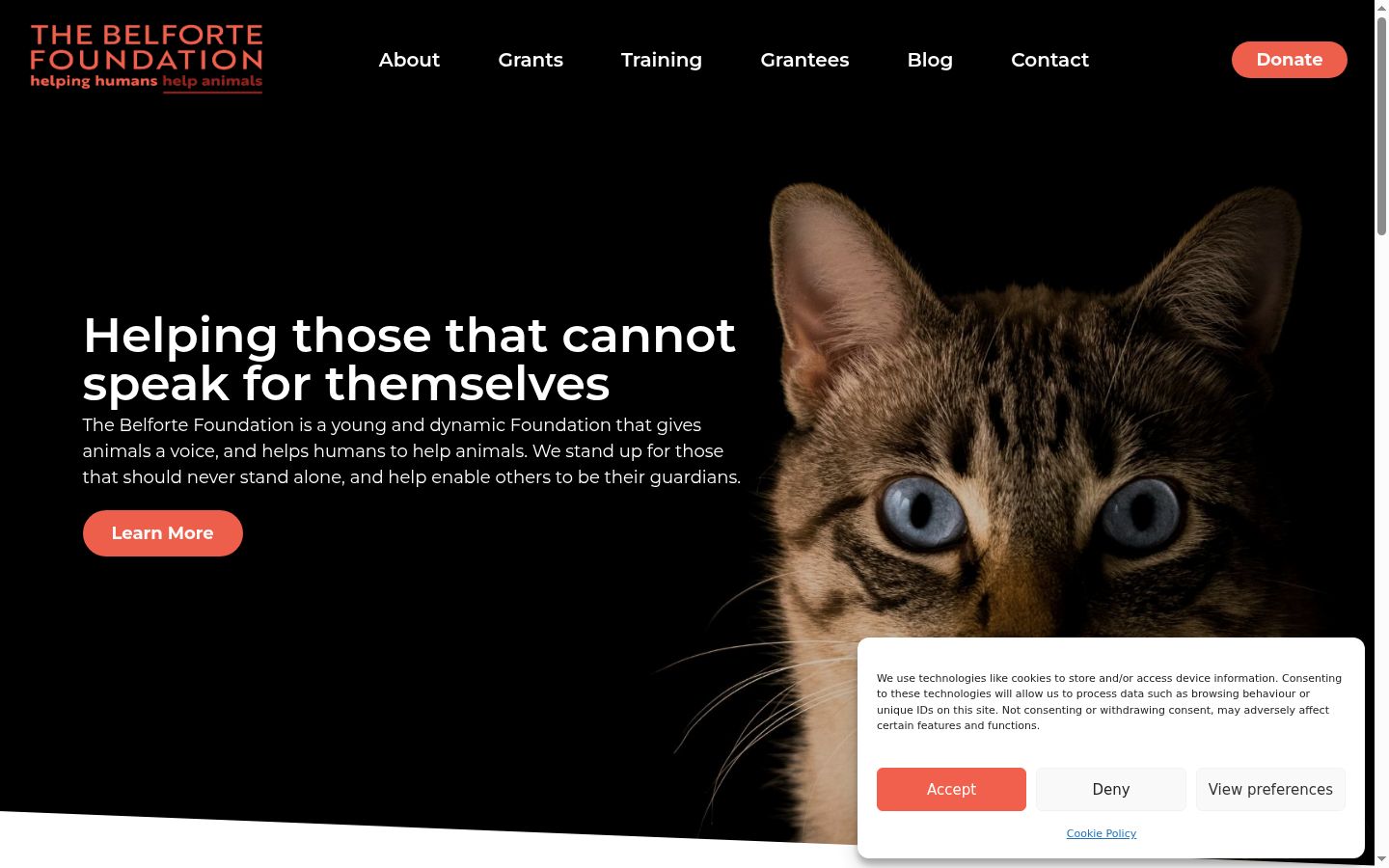 Screenshot of the consent banner shown before any interaction