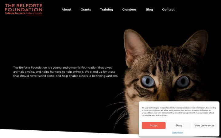 Screenshot of belfortefoundation.org.uk