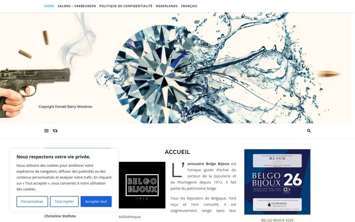 Screenshot of belgobijoux.be