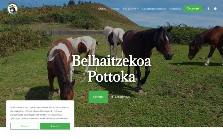 Skjámynd af belhaitzekoapottoka.fr
