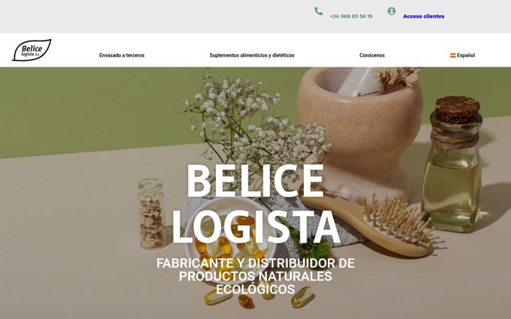 Screenshot of belicelogista.com