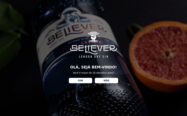 Screenshot of believergin.com.br