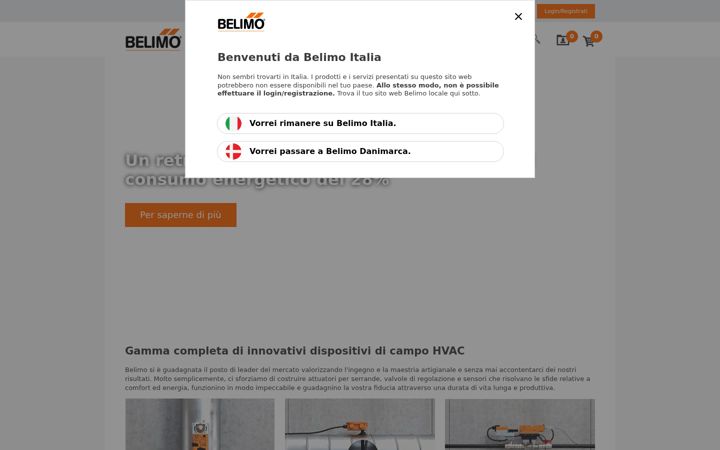 Screenshot of belimo.it