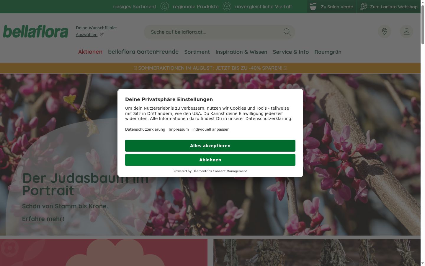 Screenshot van de toestemmingsbanner zoals getoond vóór enige interactie