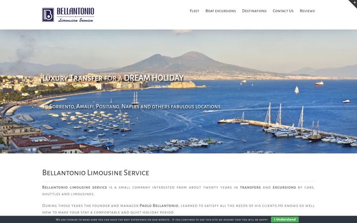 Screenshot of bellantoniocarservice.it