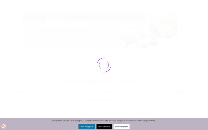 Screenshot of bellecomme.fr