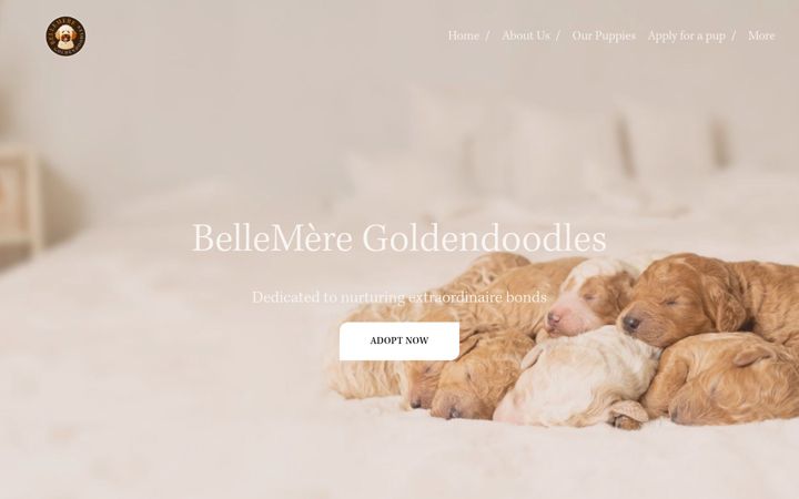 Screenshot of bellemeregoldendoodles.com