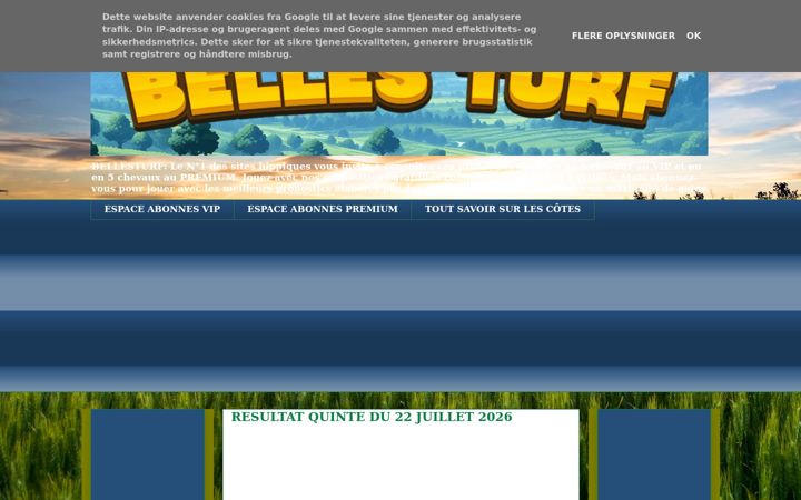 Screenshot of bellesturf.net