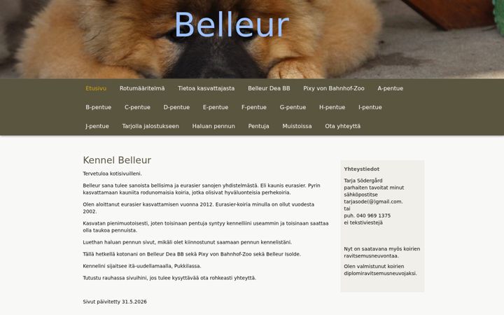 Screenshot of belleur.fi