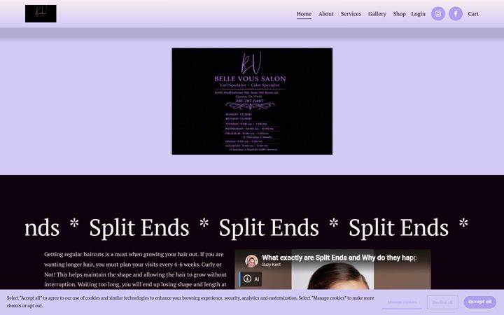 Screenshot of bellevoussalon.com