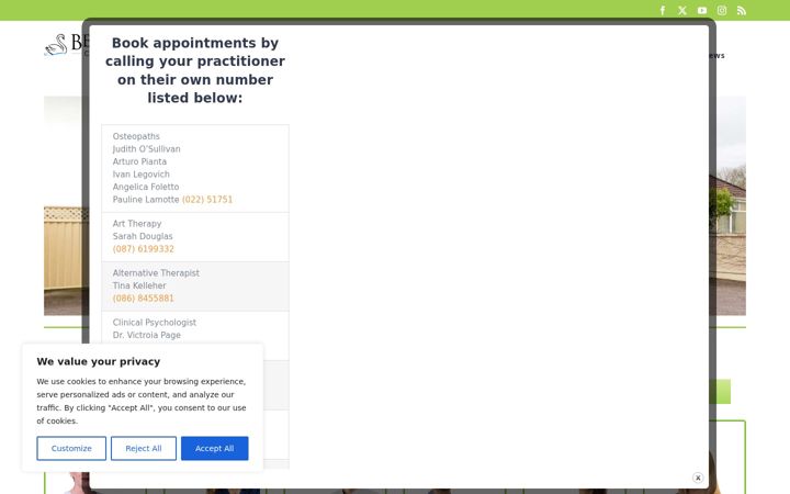 Screenshot von bellevueclinic.ie