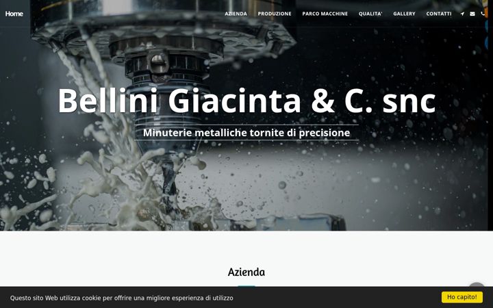 Screenshot of belliniminuteriemetalliche.it