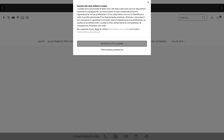 Screenshot of bellinvetro.com