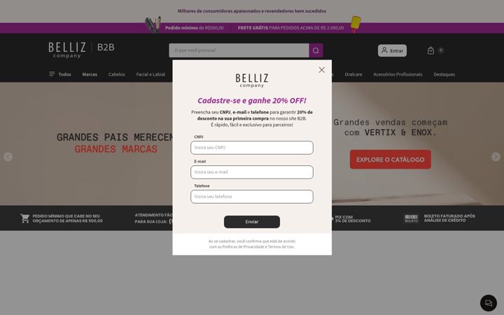 Screenshot of bellizcompany.com.br